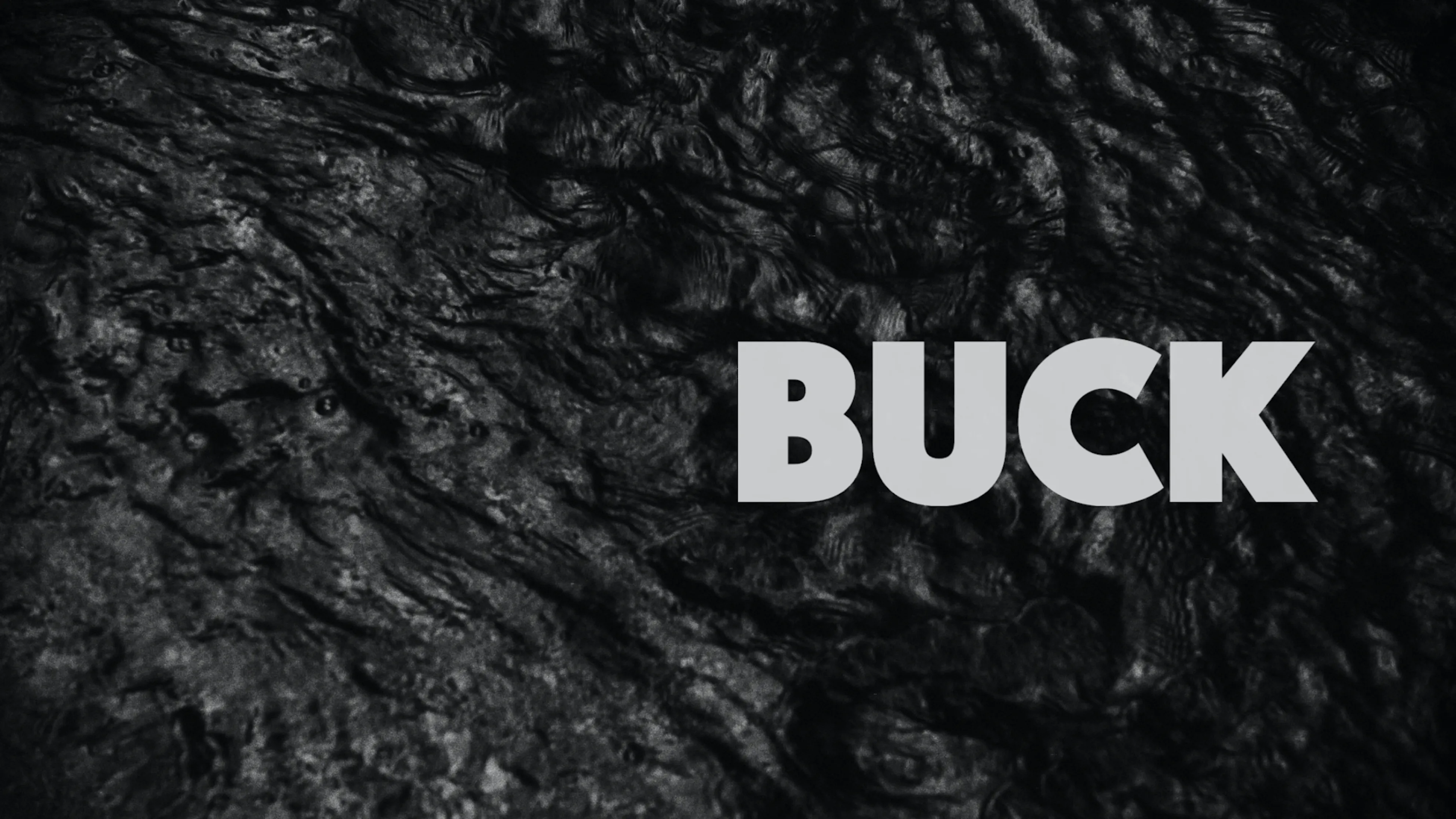 Buck poster
